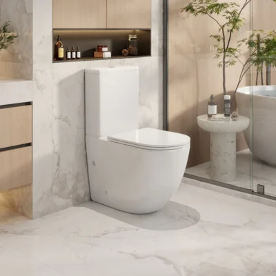 HANI Rimless Flush Toilet Suite