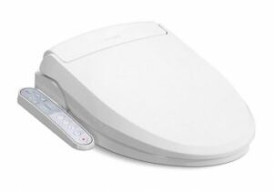 Bidet Seats and Bidet Sprays