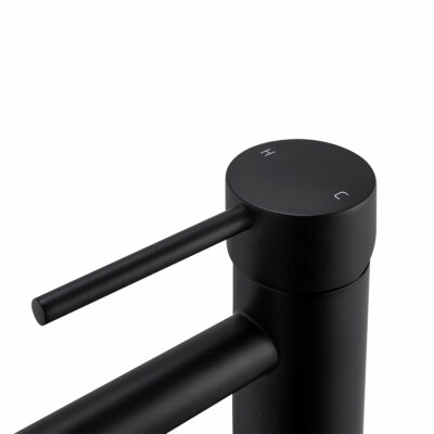 Matte Black LUCID PIN Basin Mixer